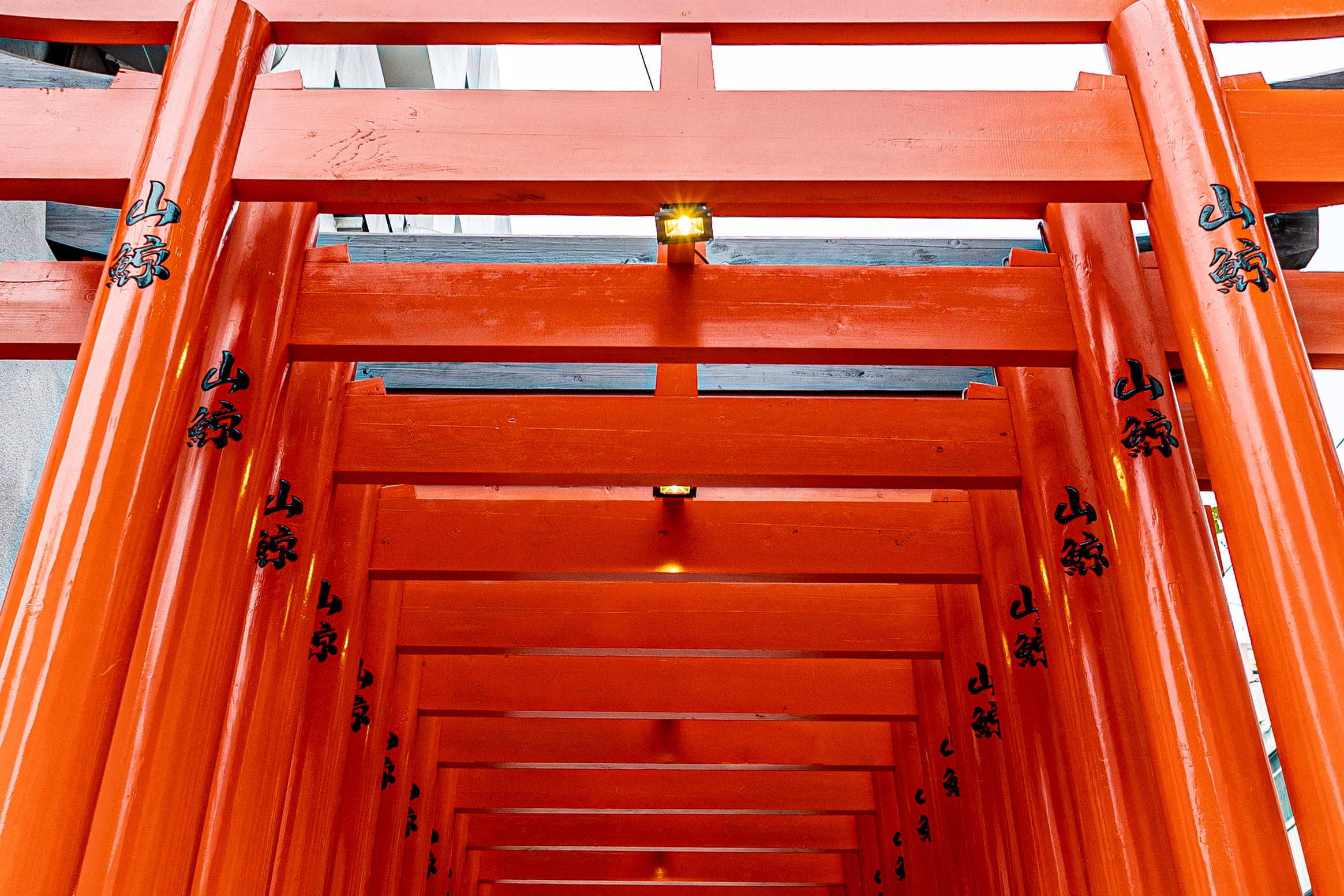 山鯨2023情人節 33 (1)